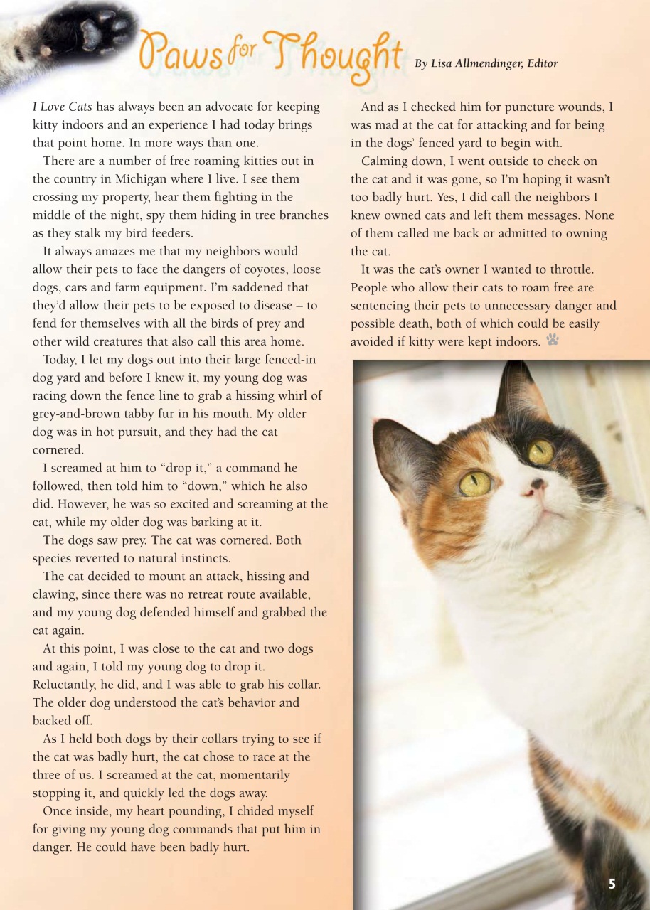 I Love Cats Preview Pages