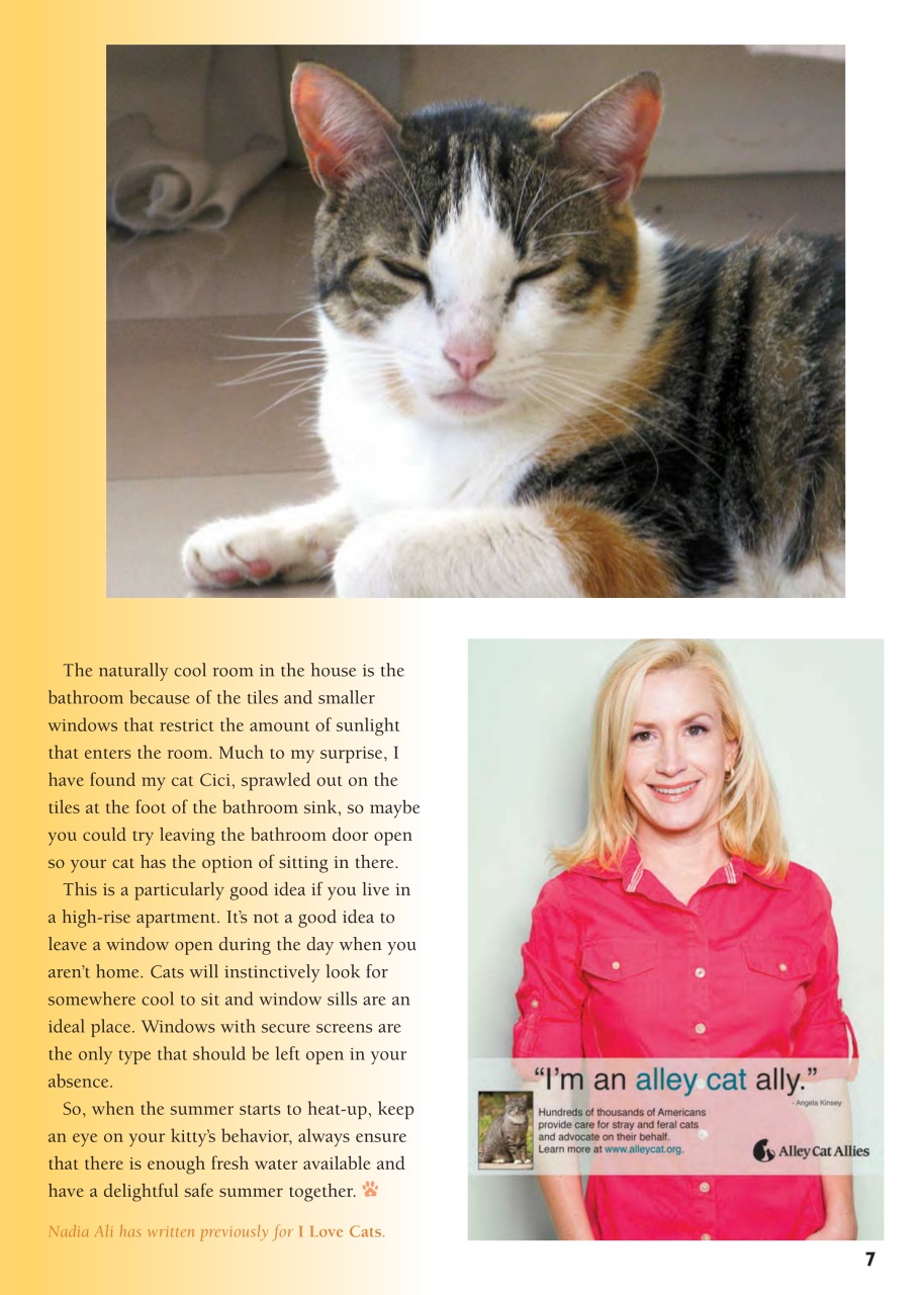 I Love Cats Preview Pages