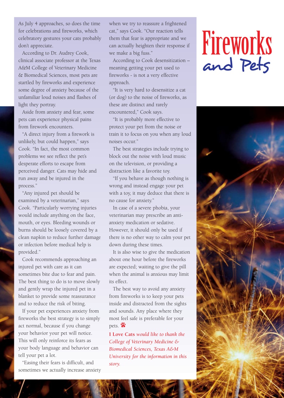 I Love Cats Preview Pages