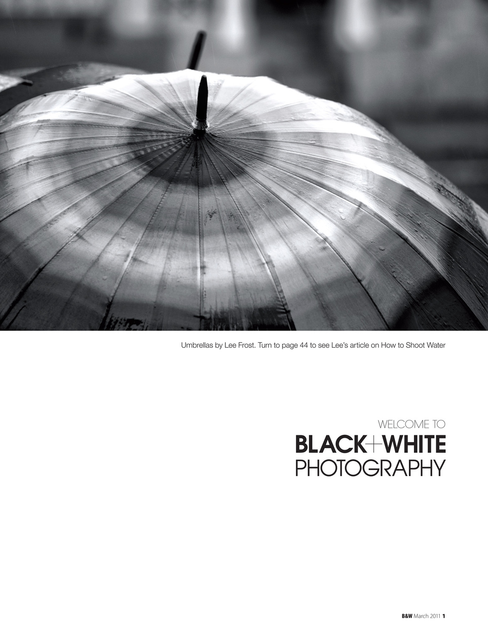 Black+White Photography Preview Pages