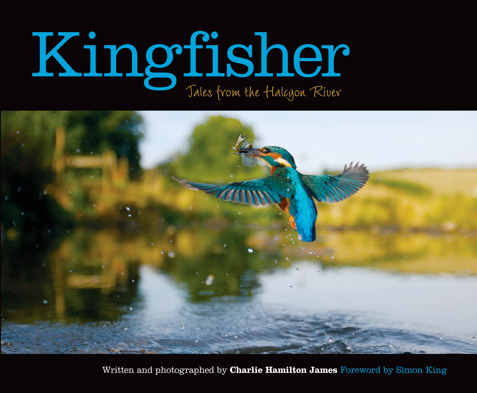 Kingfisher Preview Pages