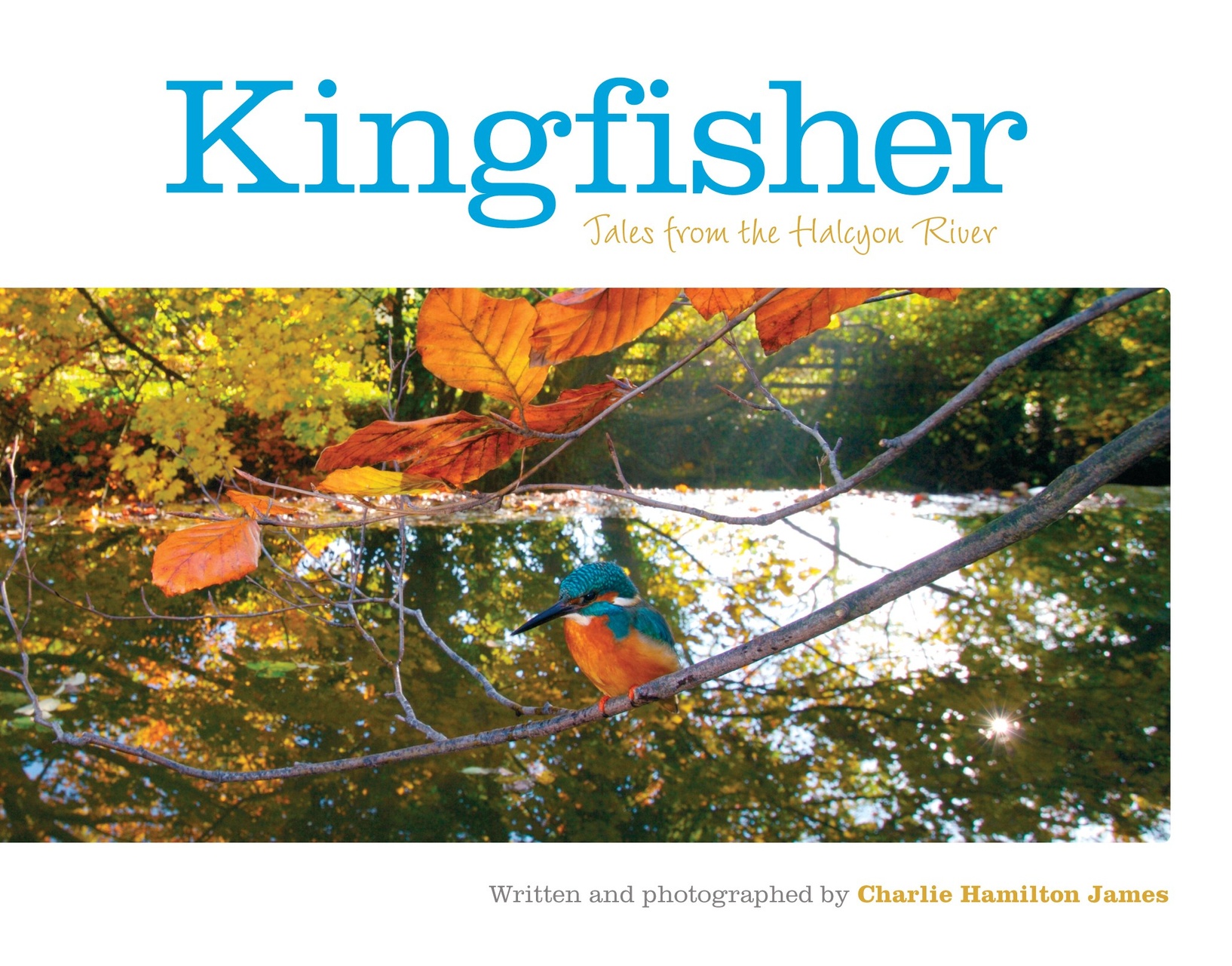 Kingfisher Preview Pages