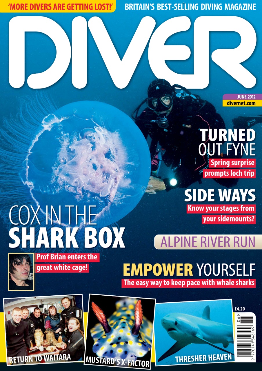 DIVER Preview Pages