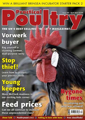 Practical Poultry issue 