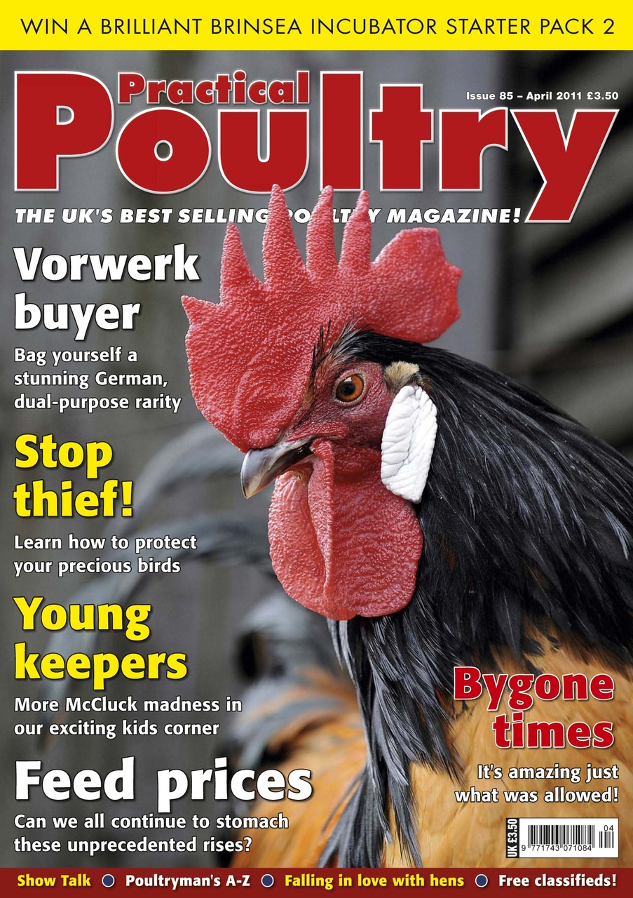 Practical Poultry Preview Pages