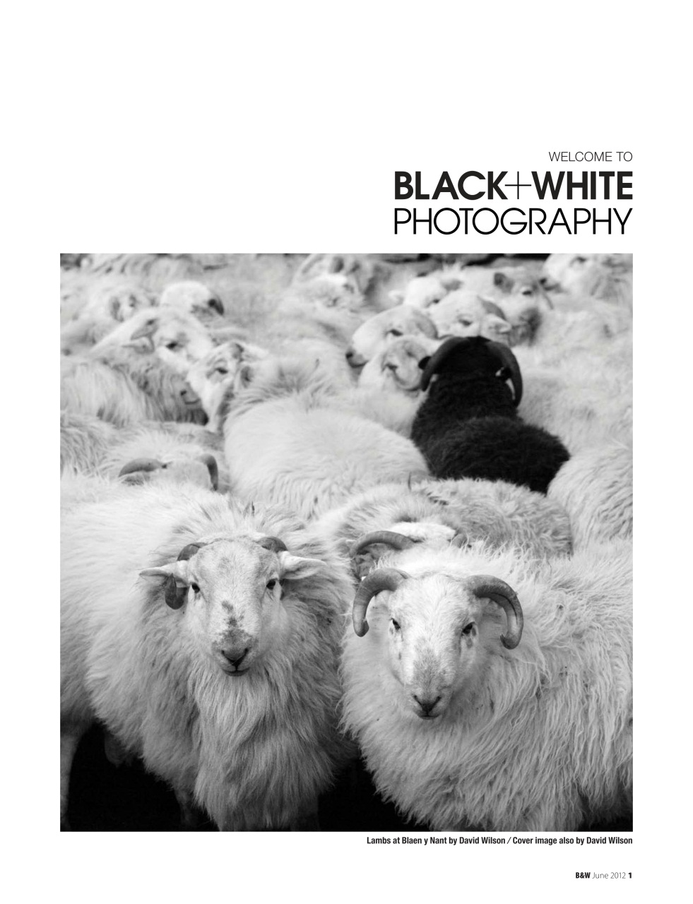 Black+White Photography Preview Pages