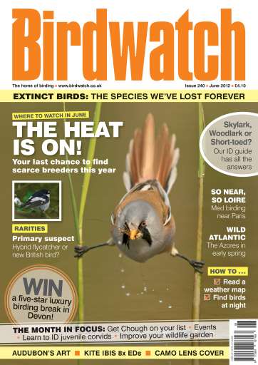 Birdwatch Magazine issue 