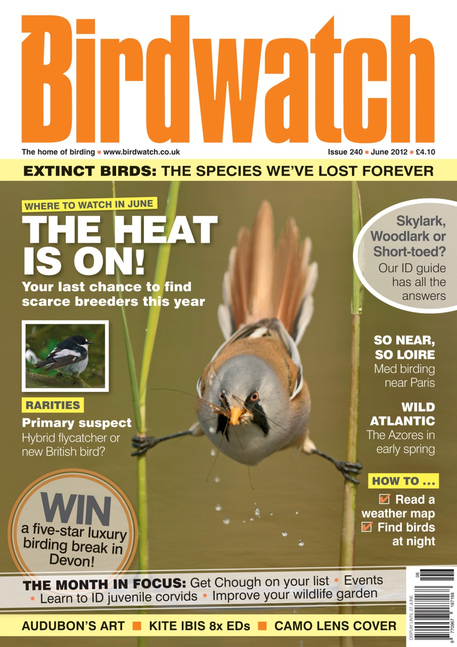 Birdwatch Magazine Preview Pages