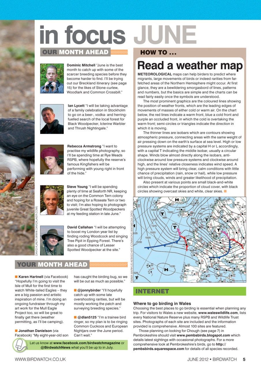Birdwatch Magazine Preview Pages