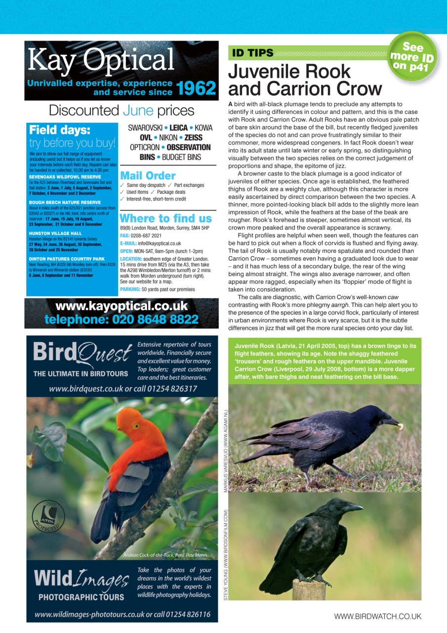 Birdwatch Magazine Preview Pages
