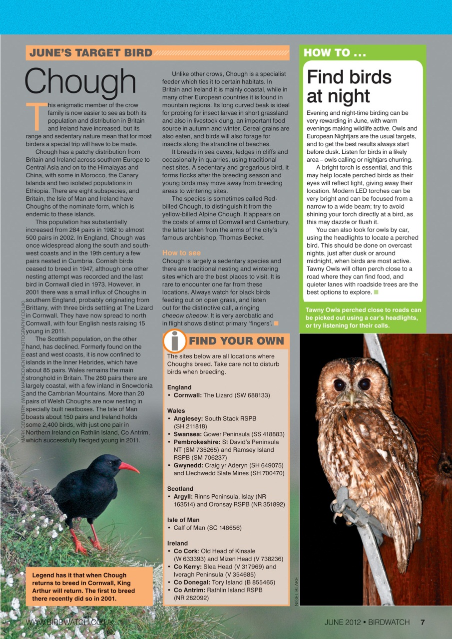 Birdwatch Magazine Preview Pages