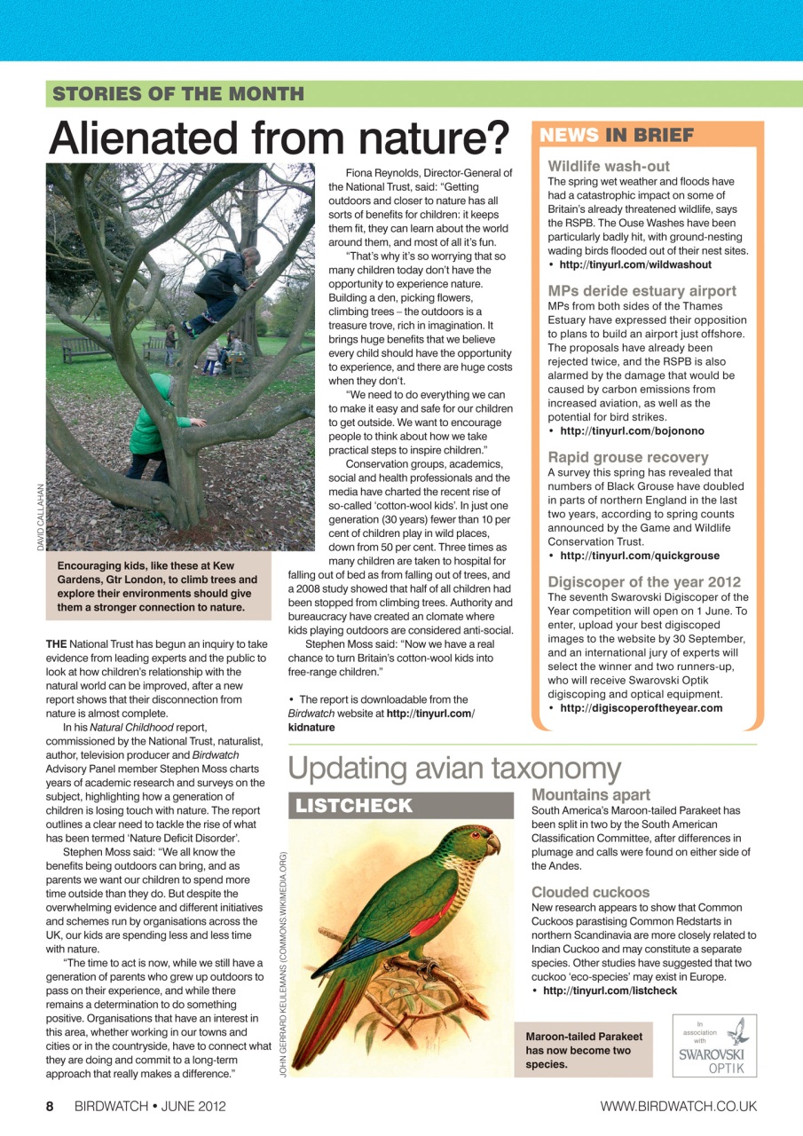 Birdwatch Magazine Preview Pages