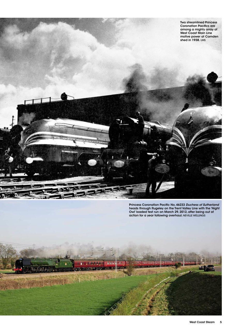 Mortons Books Preview Pages