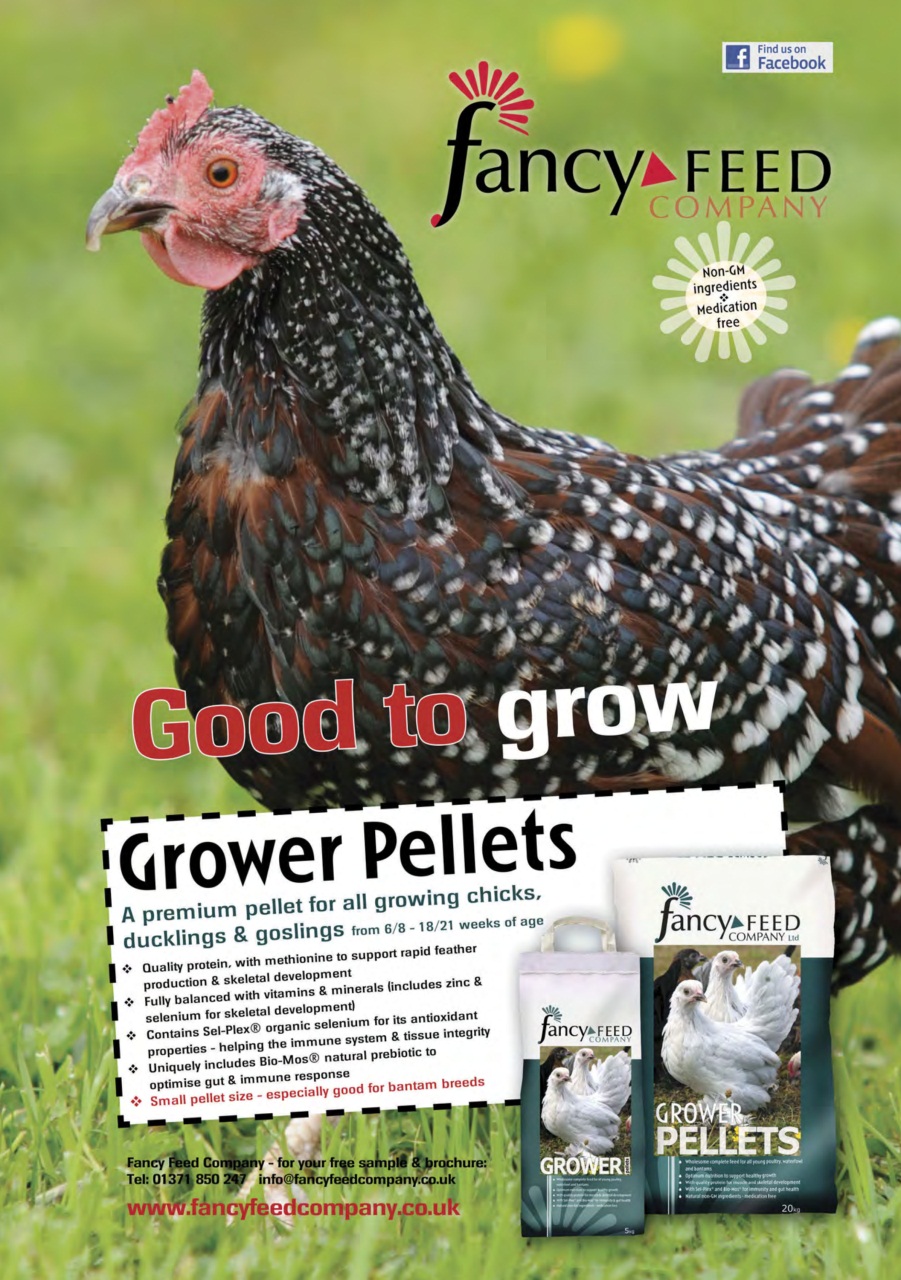 Practical Poultry Preview Pages