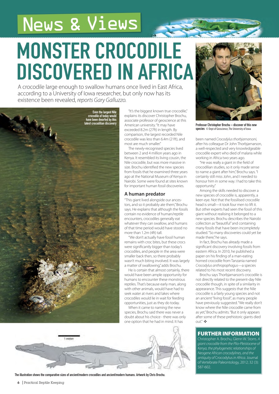 Practical Reptile Keeping Preview Pages