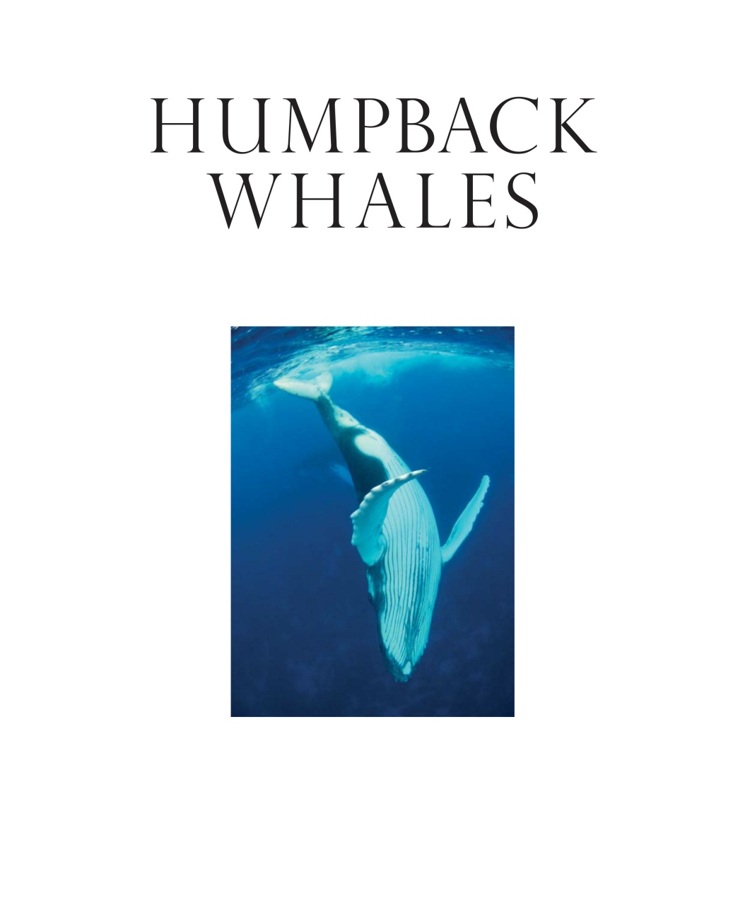 Wildlife Monographs Preview Pages