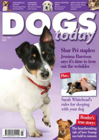 Dogs Today Magazine issue March 2011