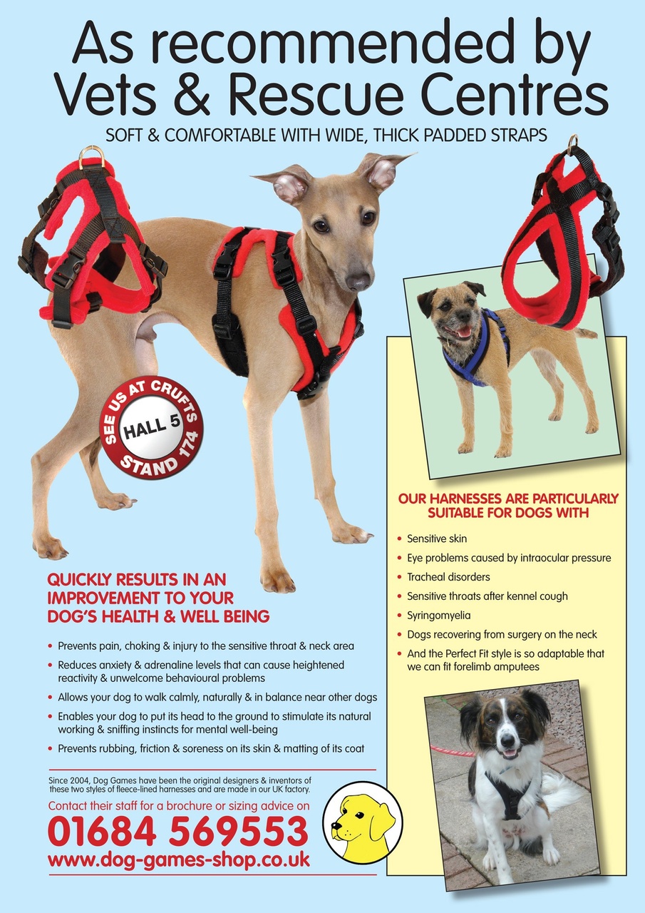 Dogs Today Magazine Preview Pages