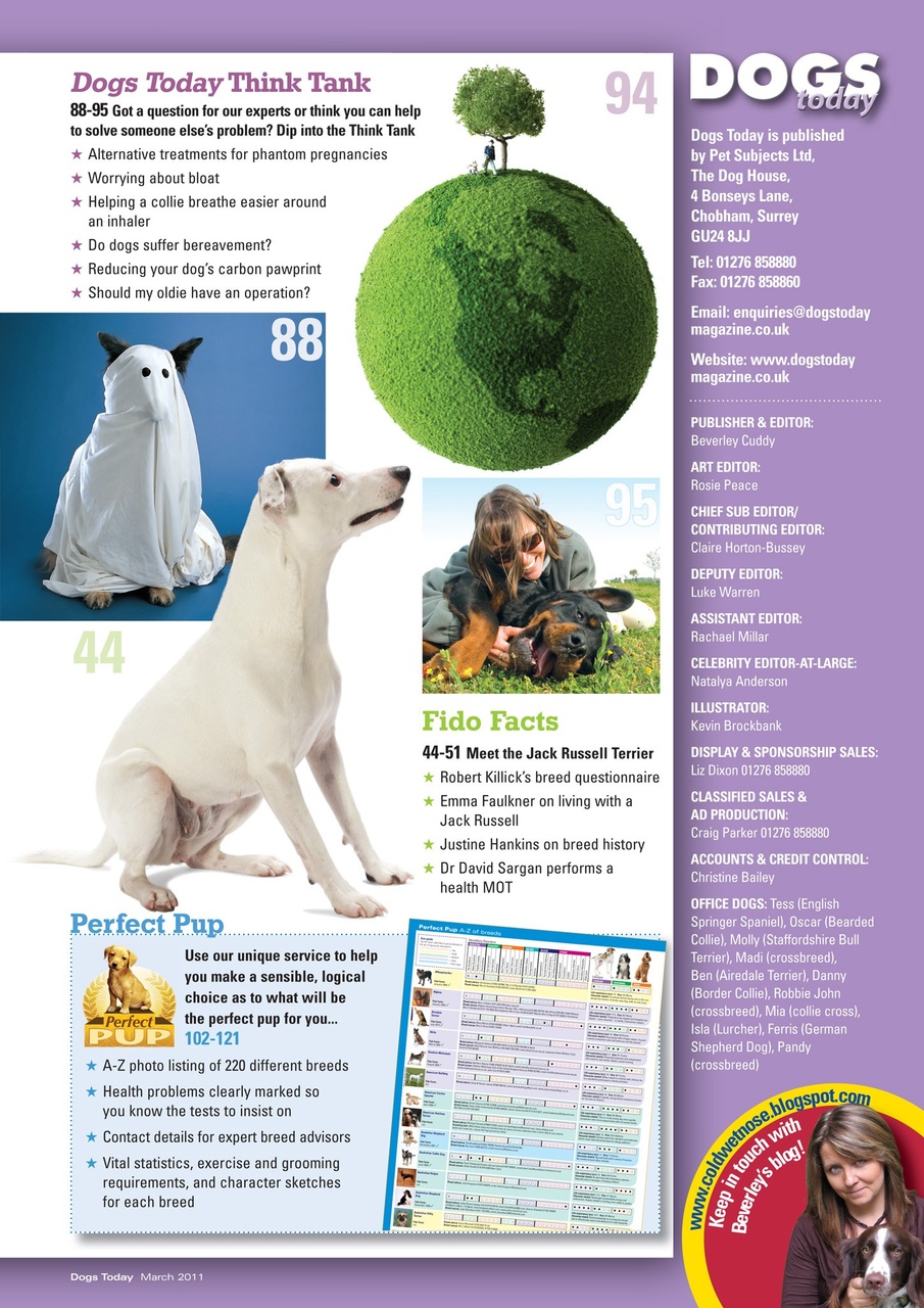Dogs Today Magazine Preview Pages