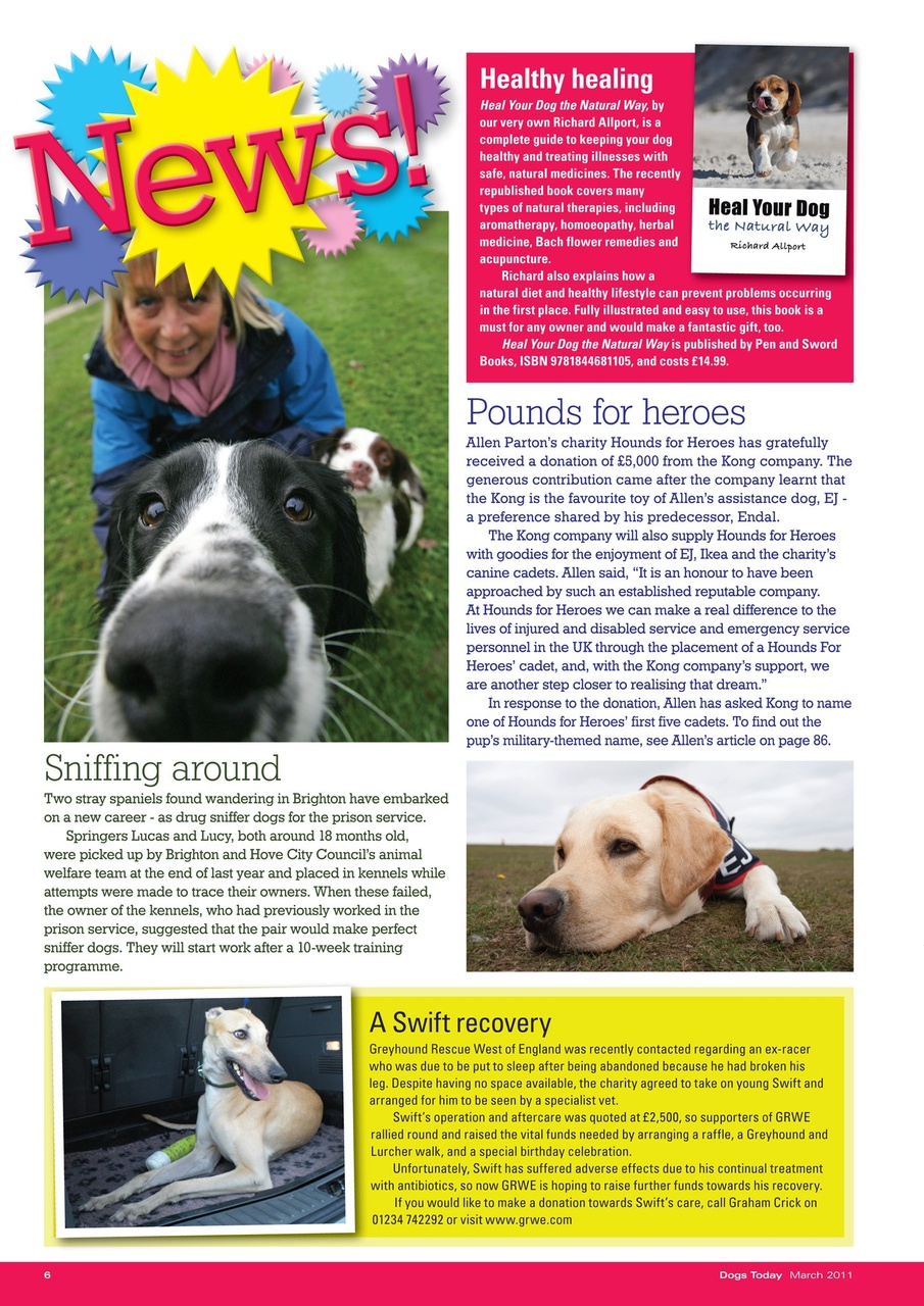 Dogs Today Magazine Preview Pages