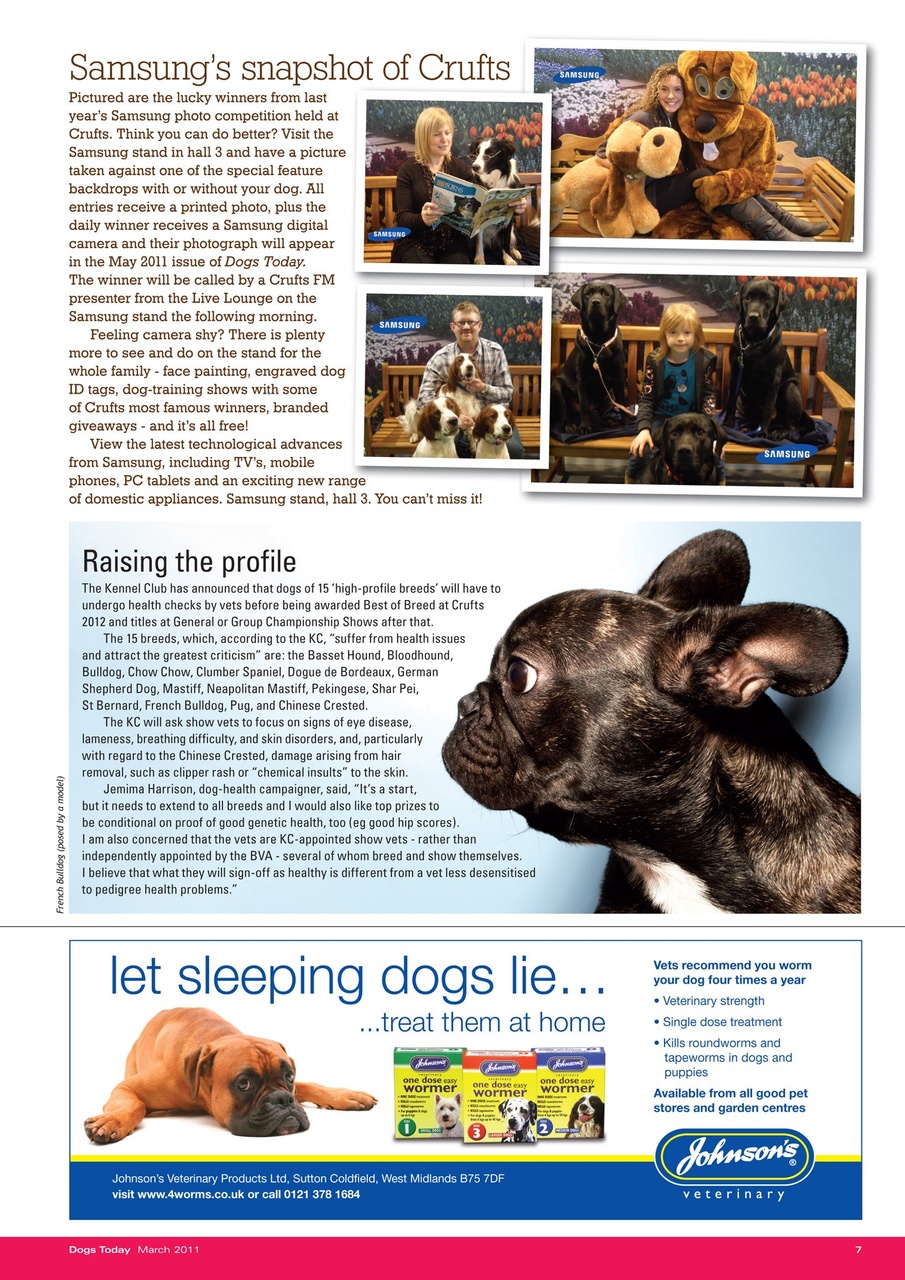 Dogs Today Magazine Preview Pages