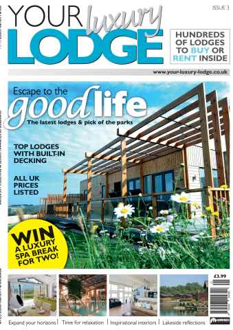 Issue 3 issue Issue 3