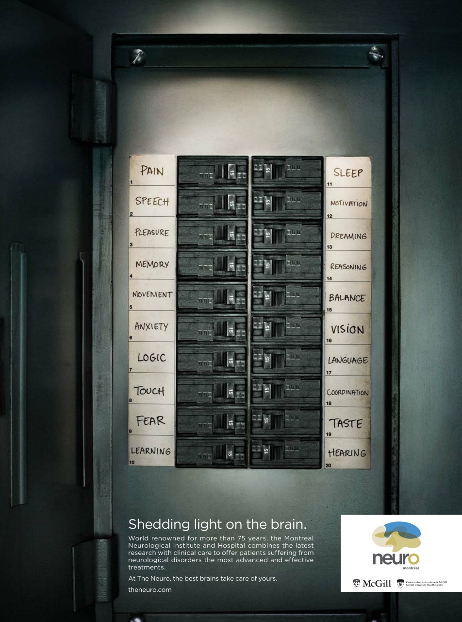 Toronto Life Preview Pages