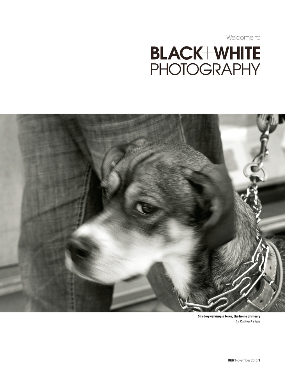 Black+White Photography Preview Pages