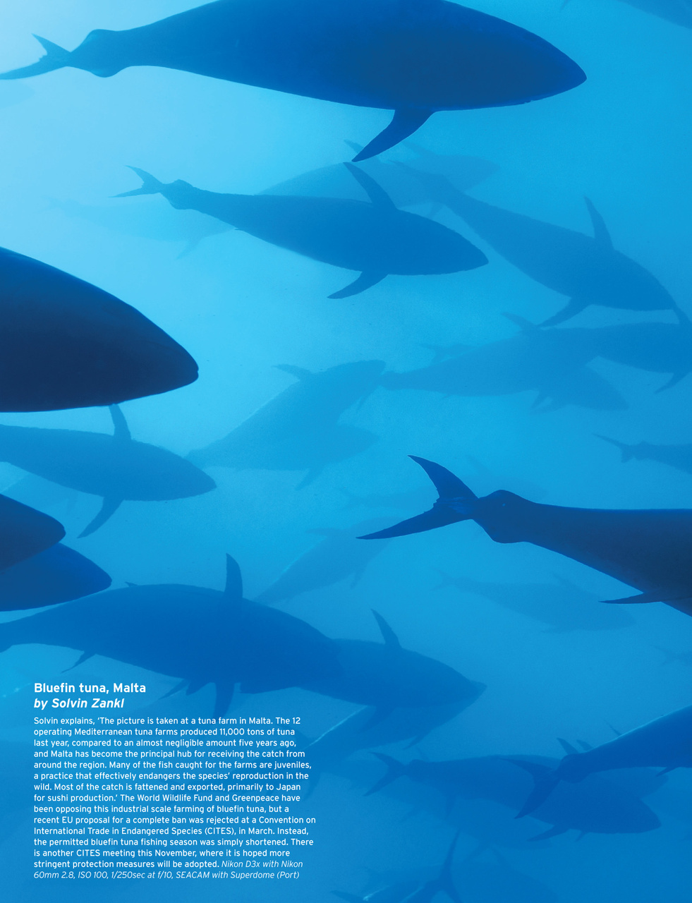 Outdoor Photography Preview Pages