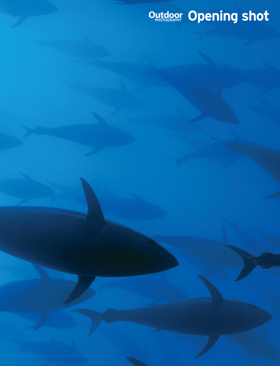 Outdoor Photography Preview Pages