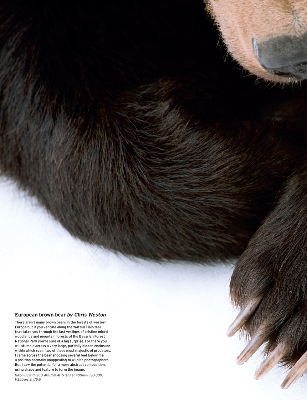 Outdoor Photography Preview Pages