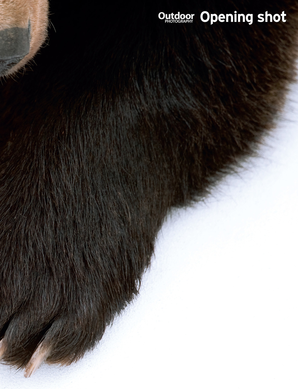 Outdoor Photography Preview Pages