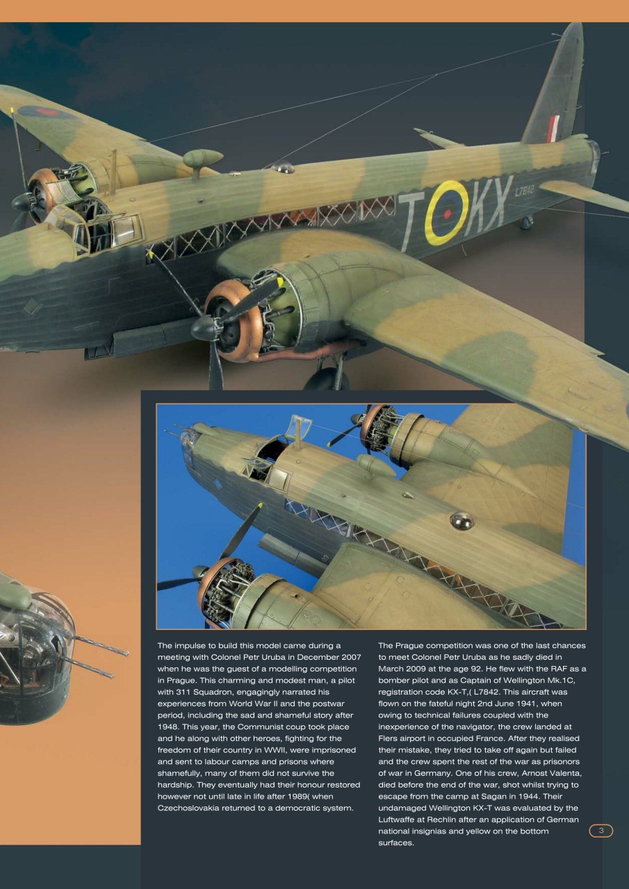 Meng AIR Modeller Preview Pages