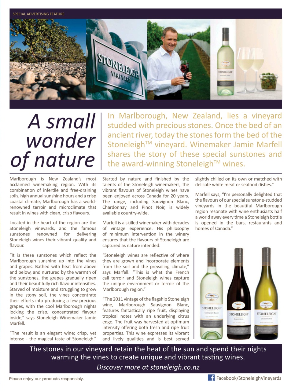 Toronto Life Preview Pages