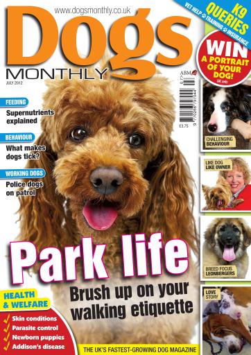 Dogs Monthly issue 