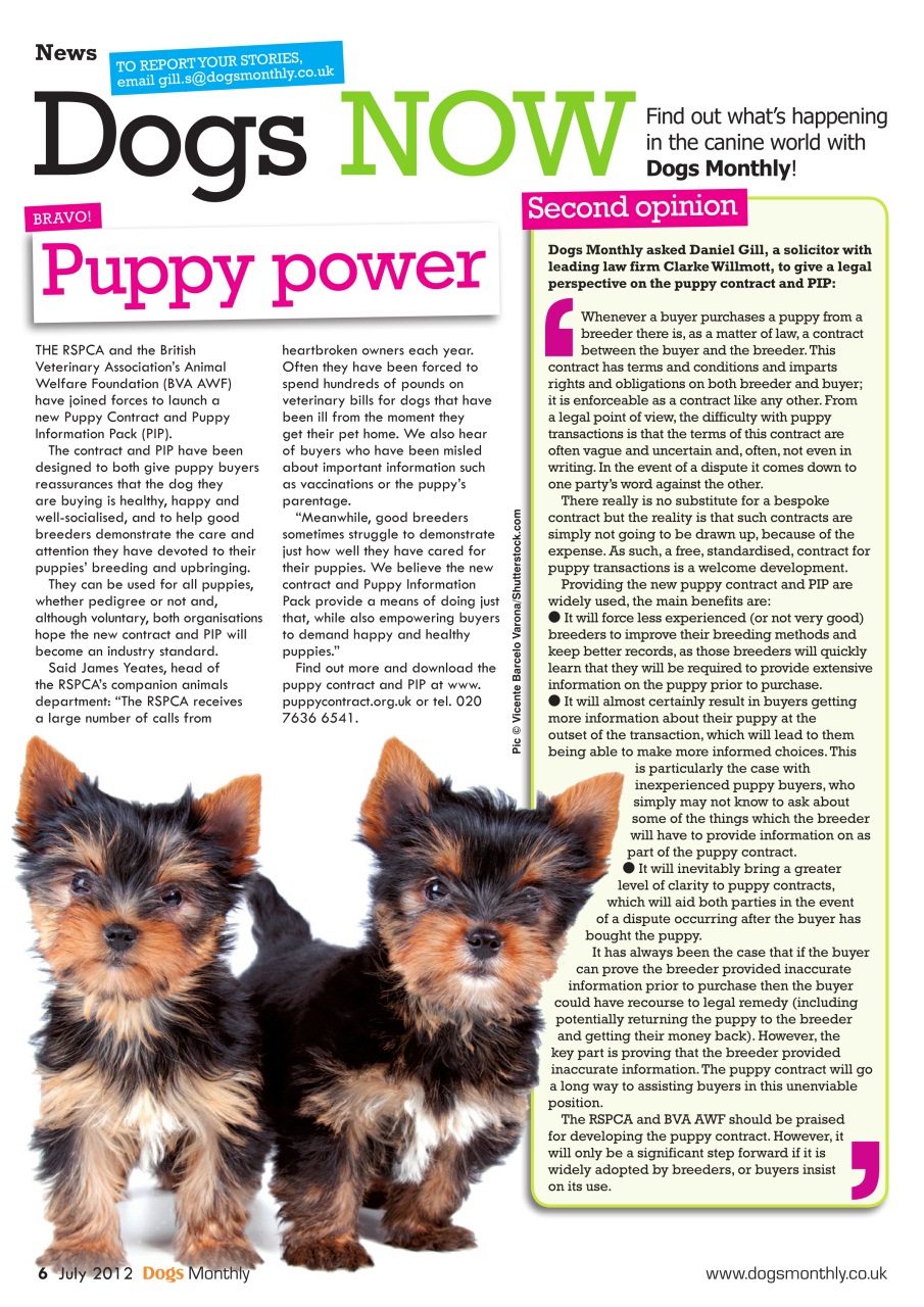 Dogs Monthly Preview Pages