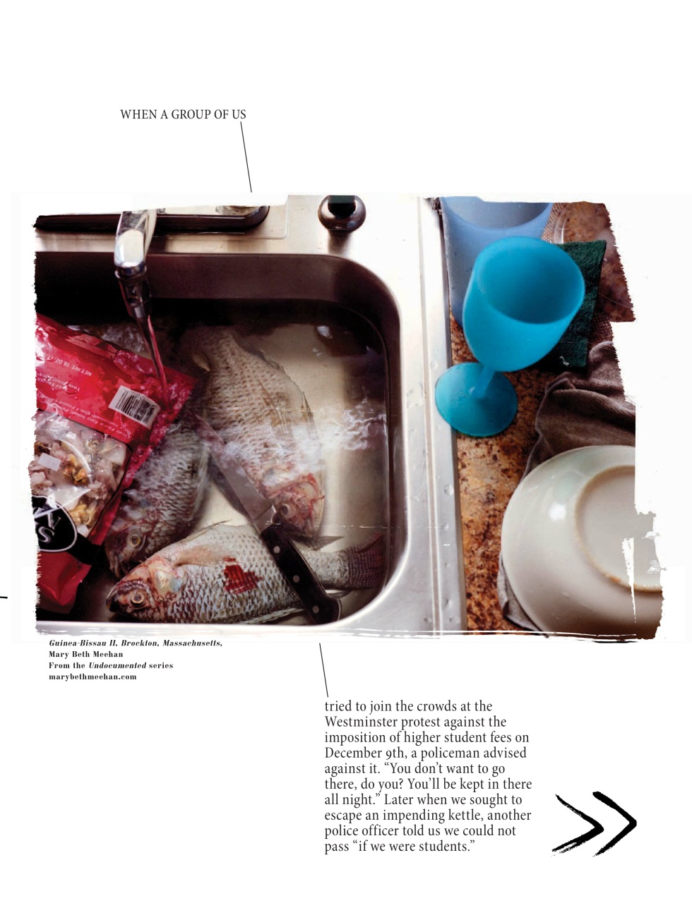 Adbusters Preview Pages