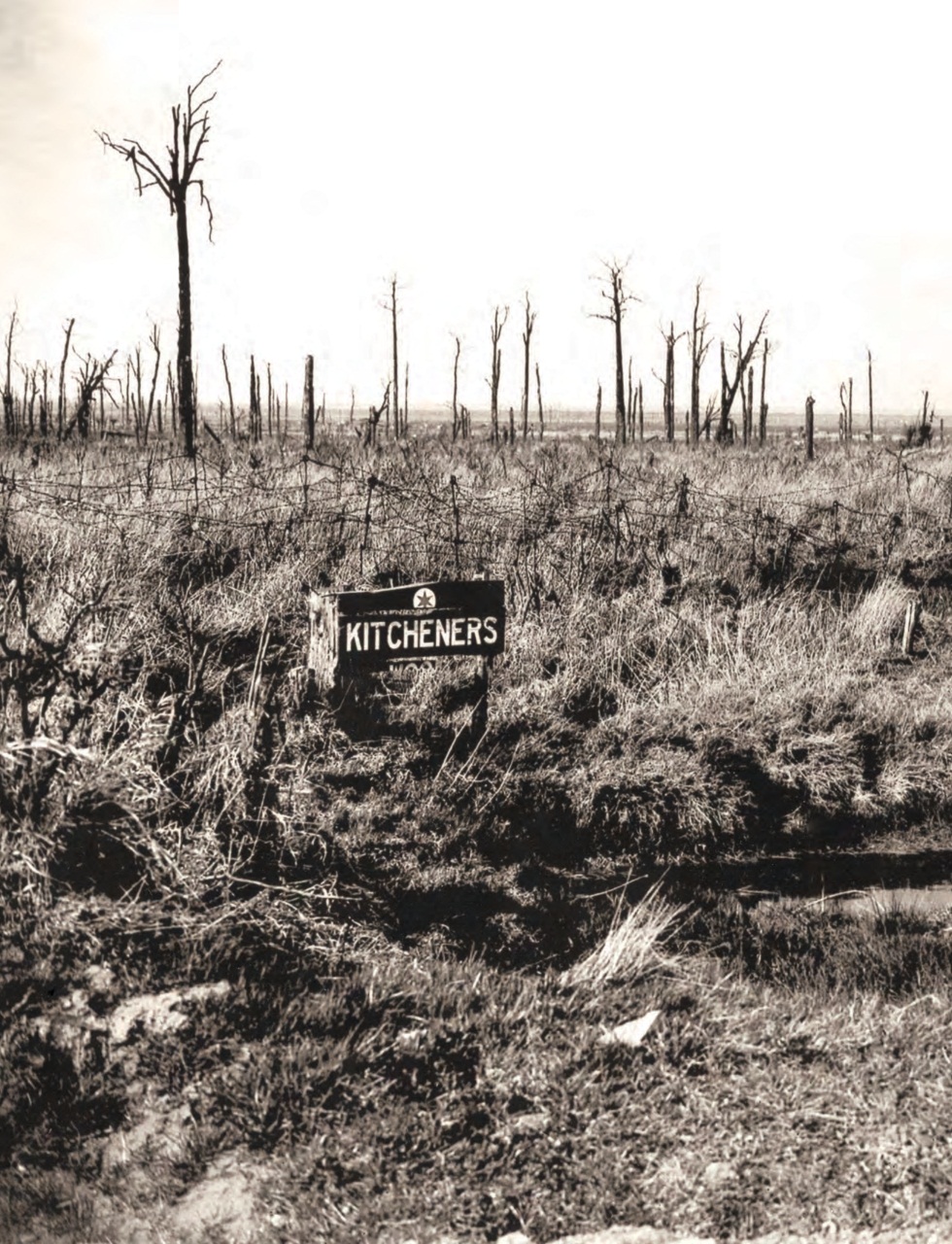 Legion Preview Pages