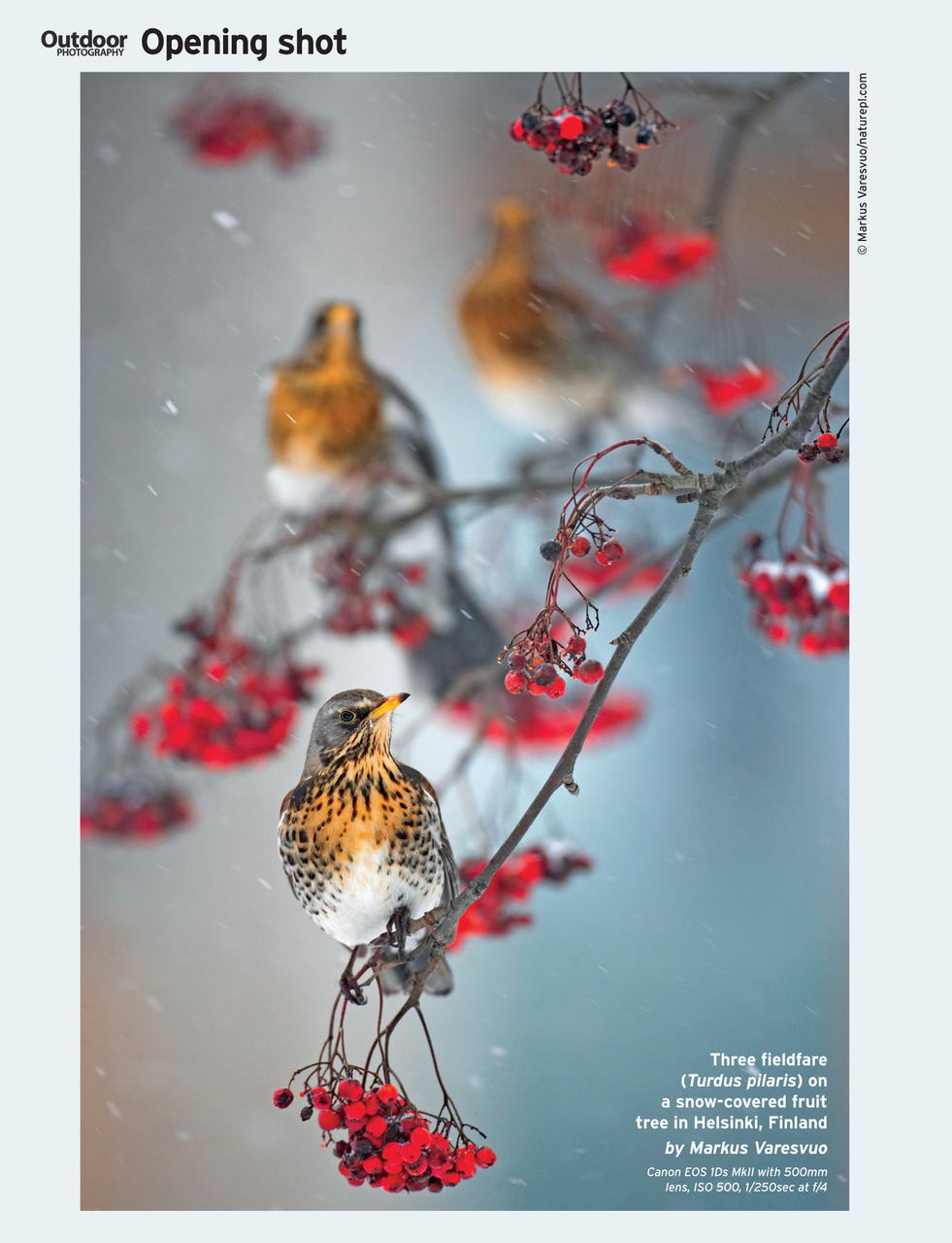 Outdoor Photography Preview Pages