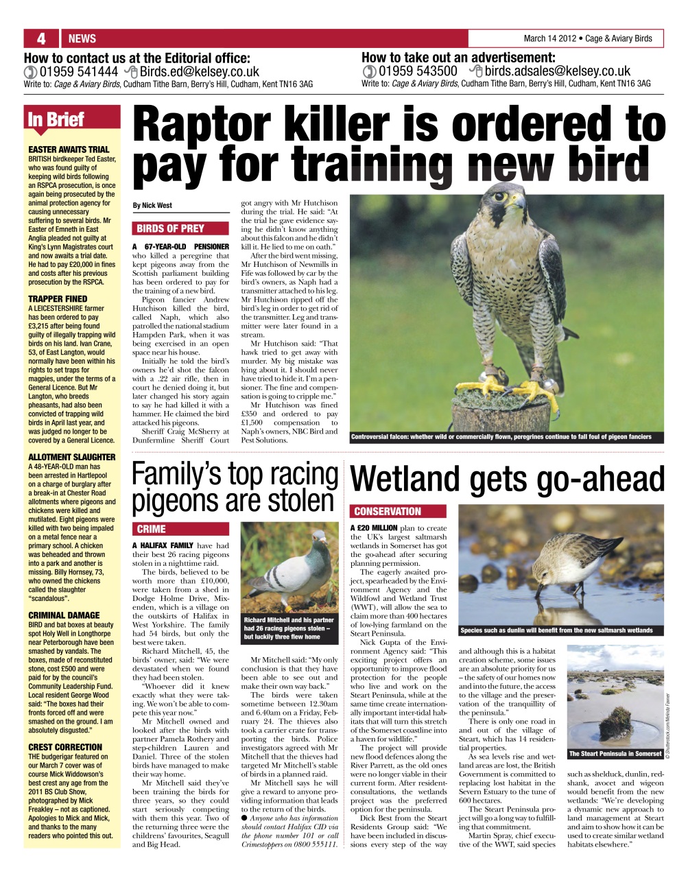 Cage & Aviary Birds Preview Pages