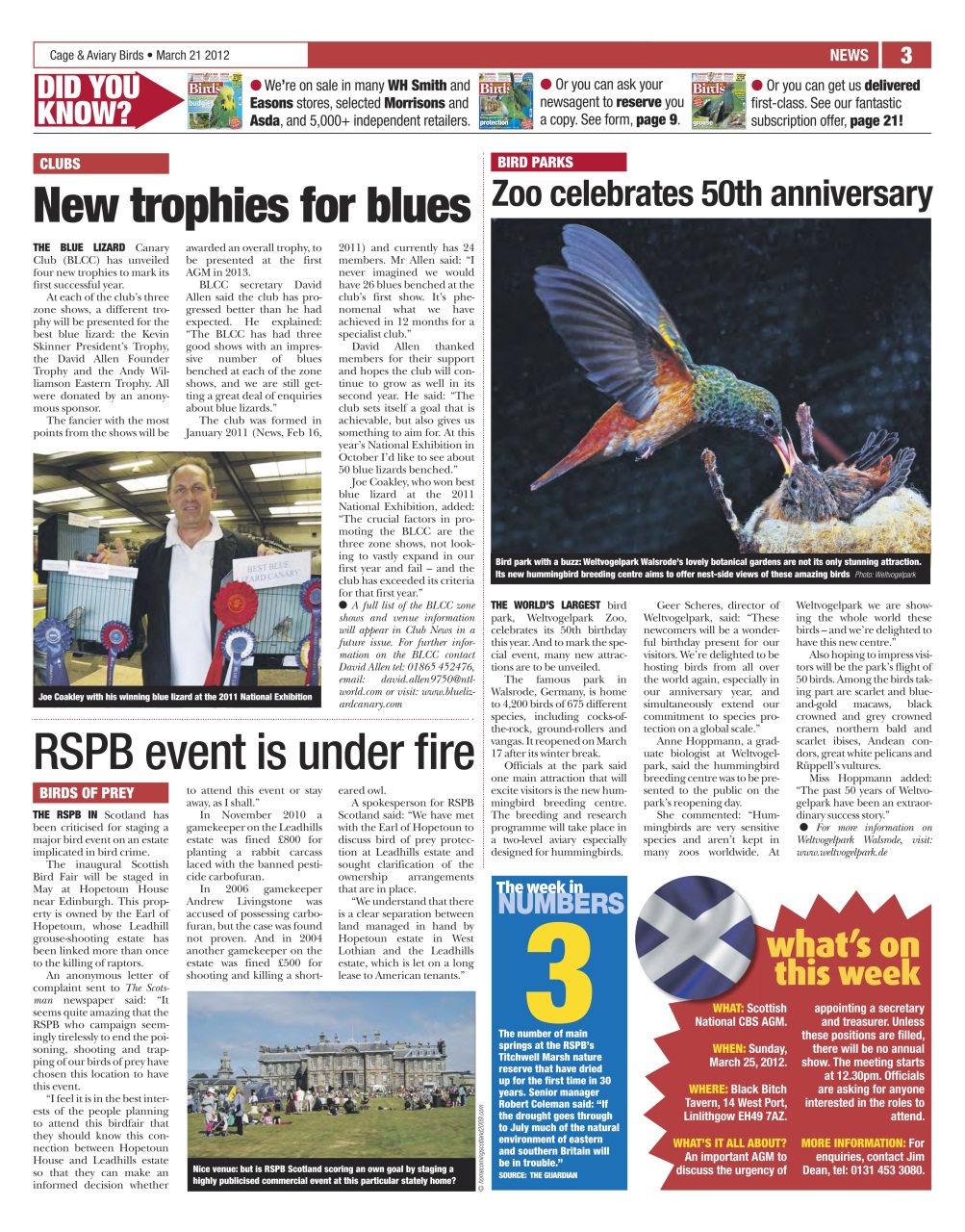 Cage & Aviary Birds Preview Pages