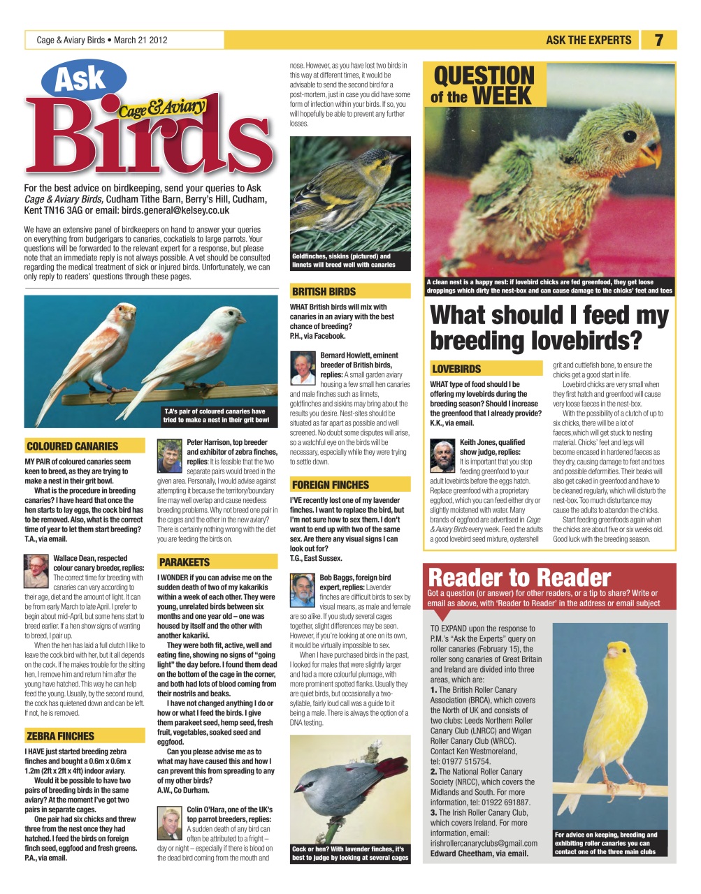 Cage & Aviary Birds Preview Pages