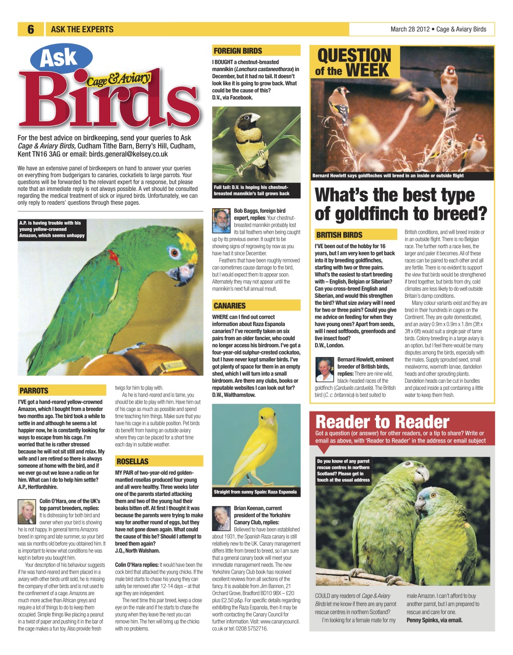 Cage & Aviary Birds Preview Pages