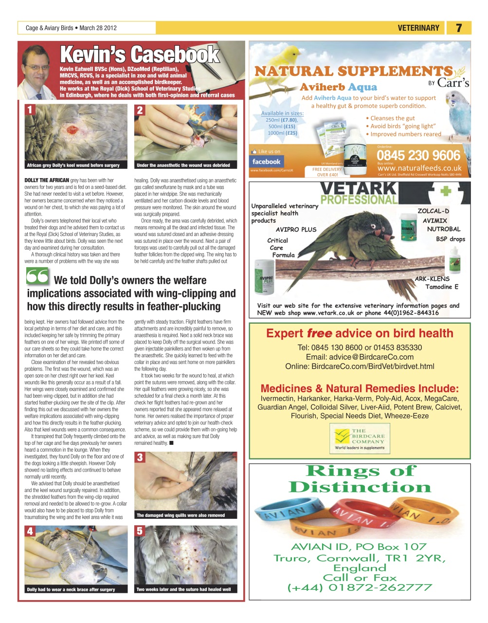 Cage & Aviary Birds Preview Pages