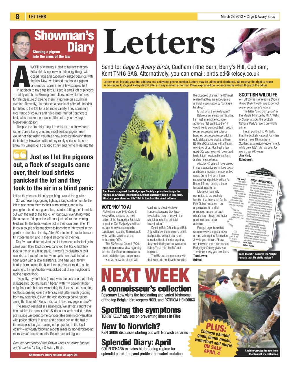 Cage & Aviary Birds Preview Pages