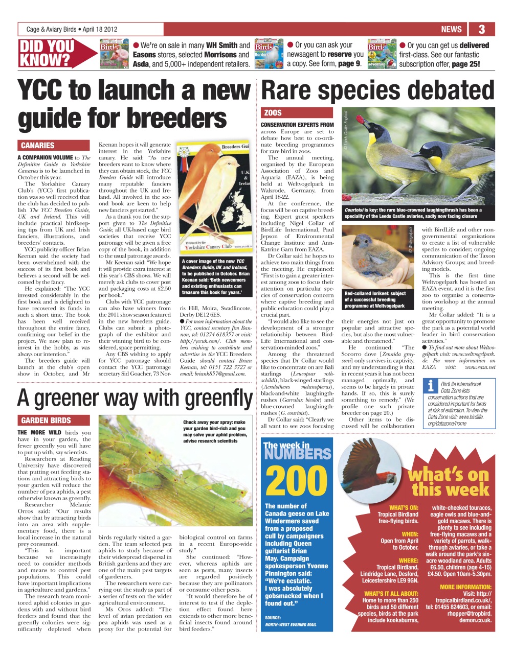 Cage & Aviary Birds Preview Pages