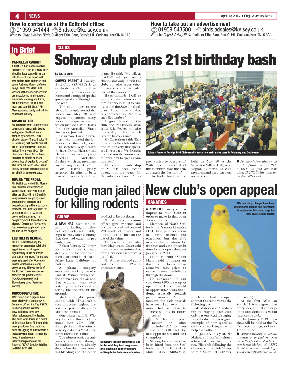 Cage & Aviary Birds Preview Pages