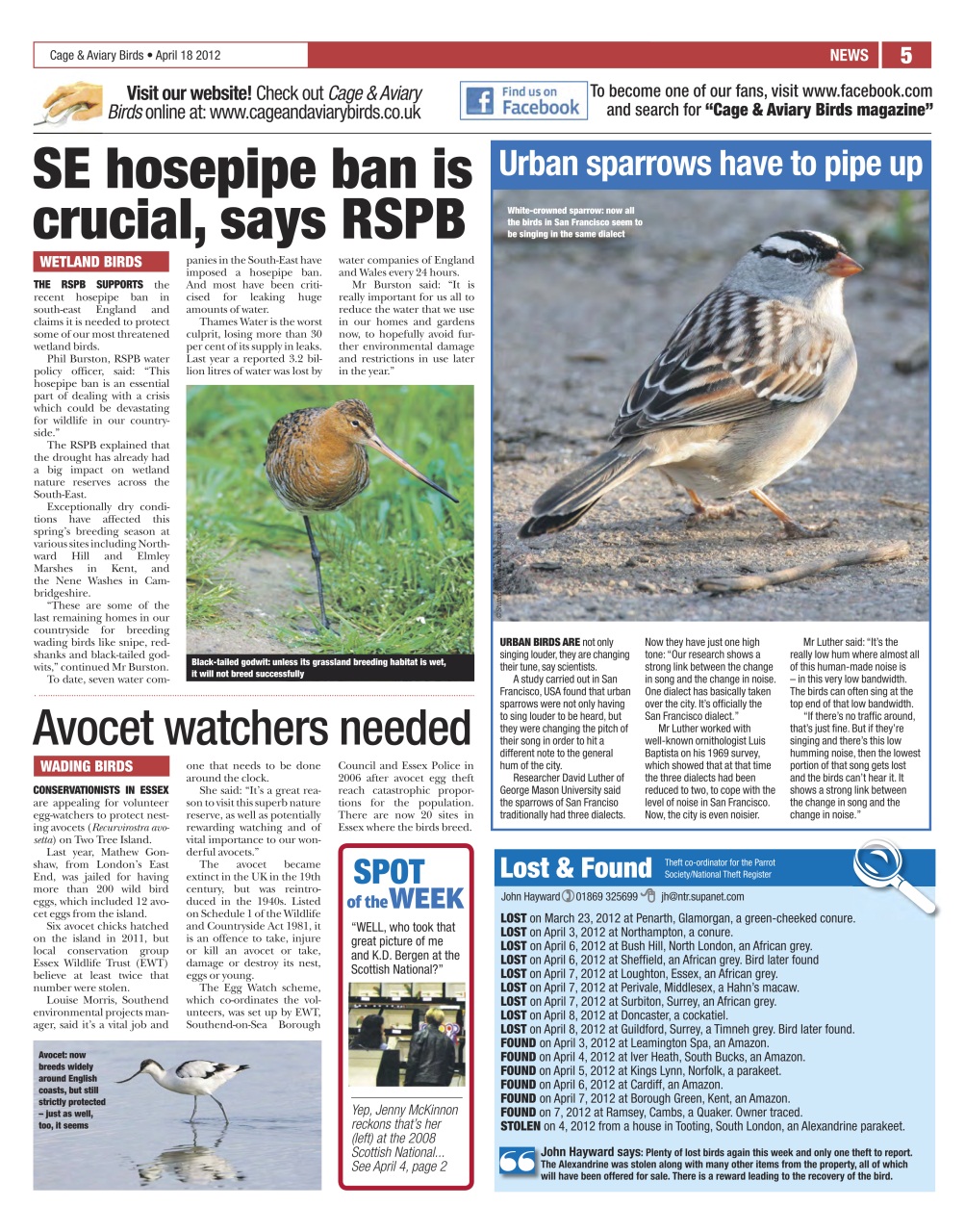 Cage & Aviary Birds Preview Pages