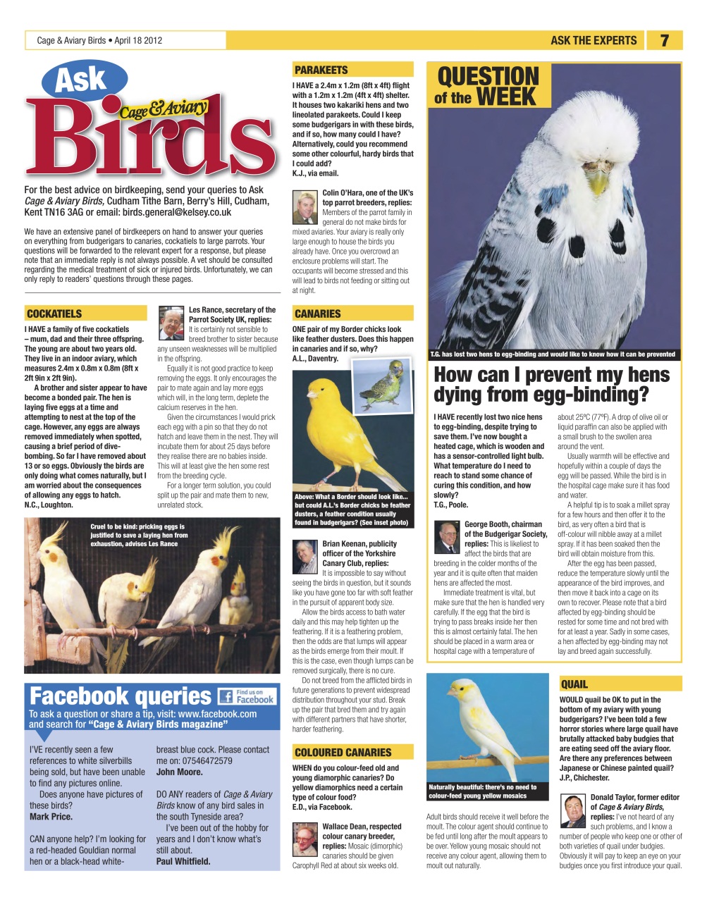 Cage & Aviary Birds Preview Pages