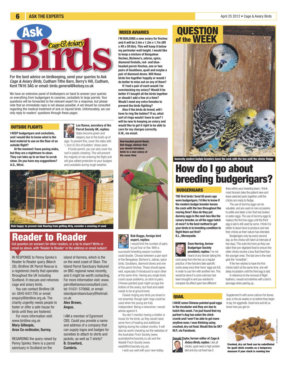 Cage & Aviary Birds Preview Pages